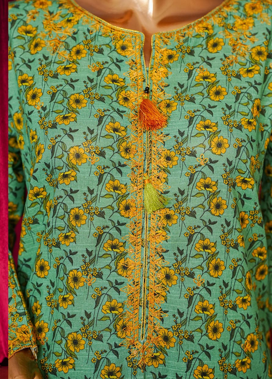 HZ Textile stitched Blooming Winter Khaddar 2Piece Co-ords Stitched Collection 2025 D-06