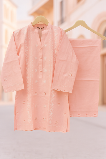 Ayesha Fabrics Present's RTW Daily Drop—Solid Cotton Shirt EMB with Cotton Trouser 2PC Collection 2025 D-09