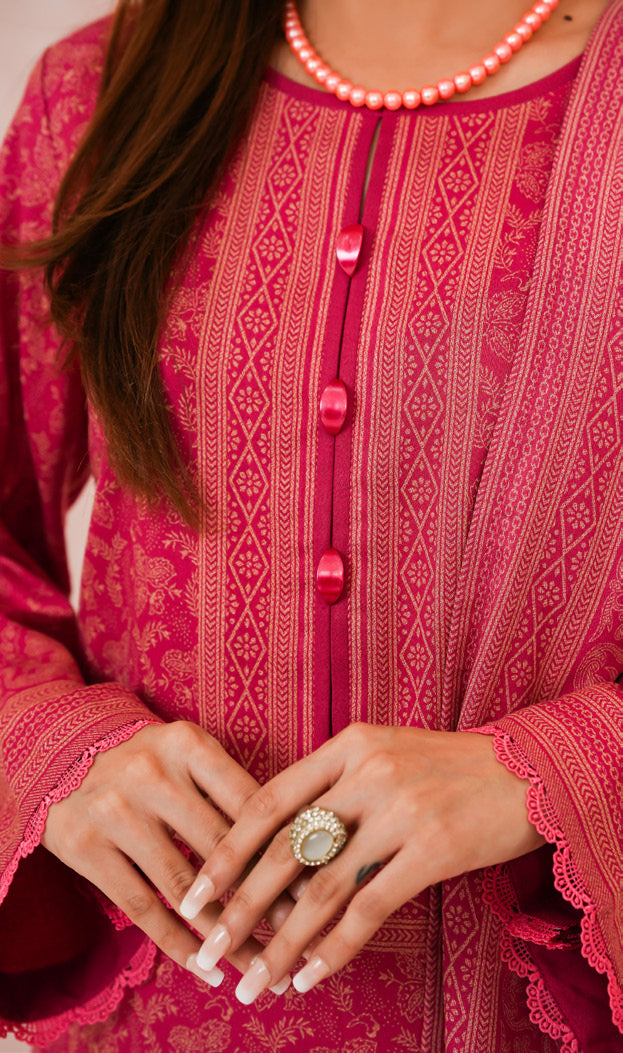 VS TEXTILES PASHMINA WINTER PRINTED 3PIECE UNSTITCHED COLLECTION 2025 D-04