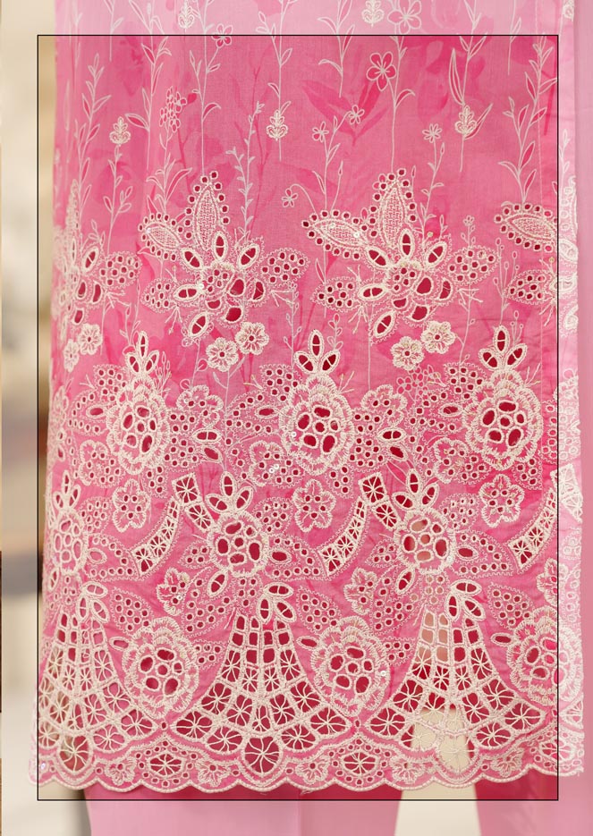 HZ Textile Ready to Wear PRINTKARI CAMBRIC Chikankari 3PC Collection 2025 D-09