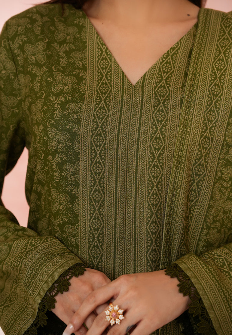 VS TEXTILES PASHMINA WINTER PRINTED 3PIECE UNSTITCHED COLLECTION 2025 D-05