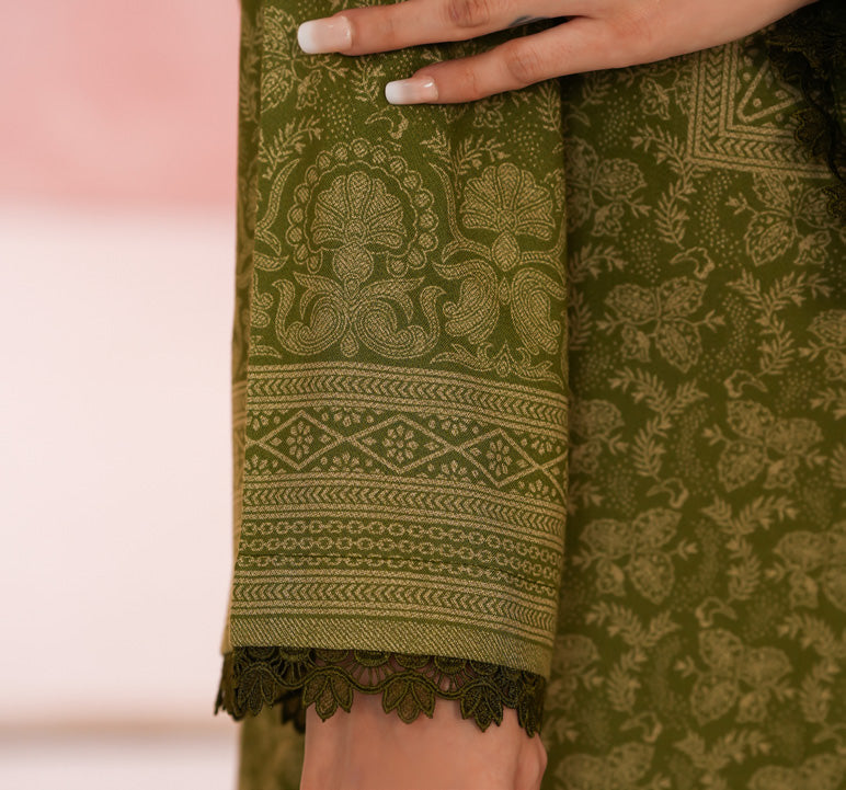 VS TEXTILES PASHMINA WINTER PRINTED 3PIECE UNSTITCHED COLLECTION 2025 D-05