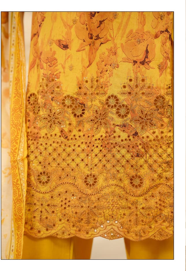 HZ Textile Ready to Wear PRINTKARI CAMBRIC Chikankari 3PC Collection 2025 D-01