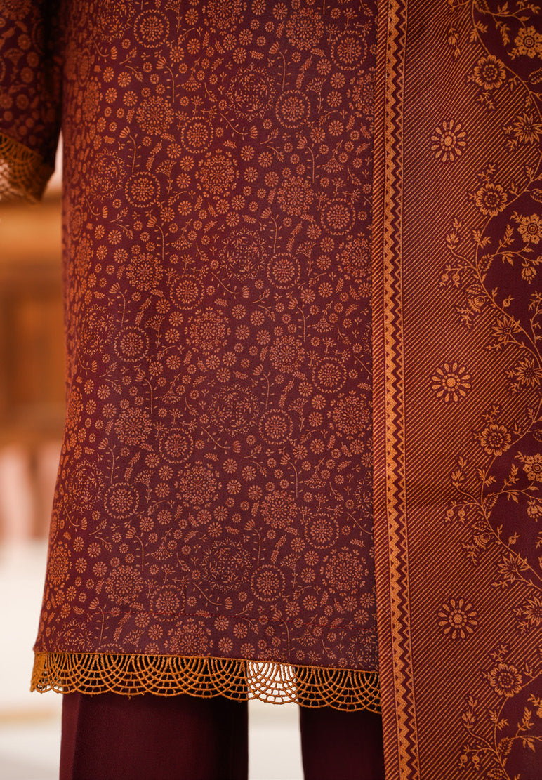 VS TEXTILES PASHMINA WINTER PRINTED 3PIECE UNSTITCHED COLLECTION 2025 D-09