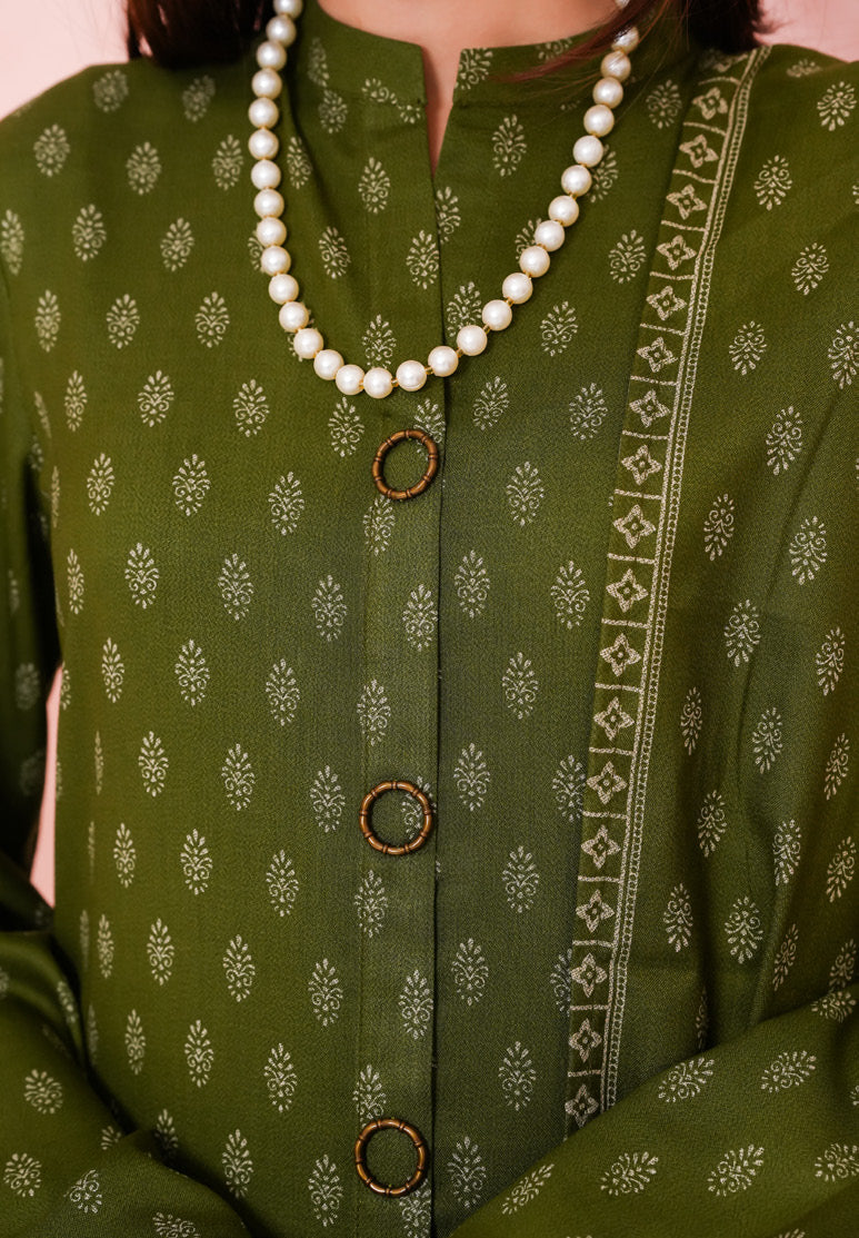 VS TEXTILES PASHMINA WINTER PRINTED 3PIECE UNSTITCHED COLLECTION 2025 D-13