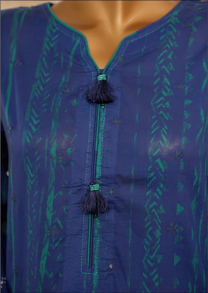 HZ Textile Ready to Wear PRINTKARI CAMBRIC Chikankari 3PC Collection 2025 D-03