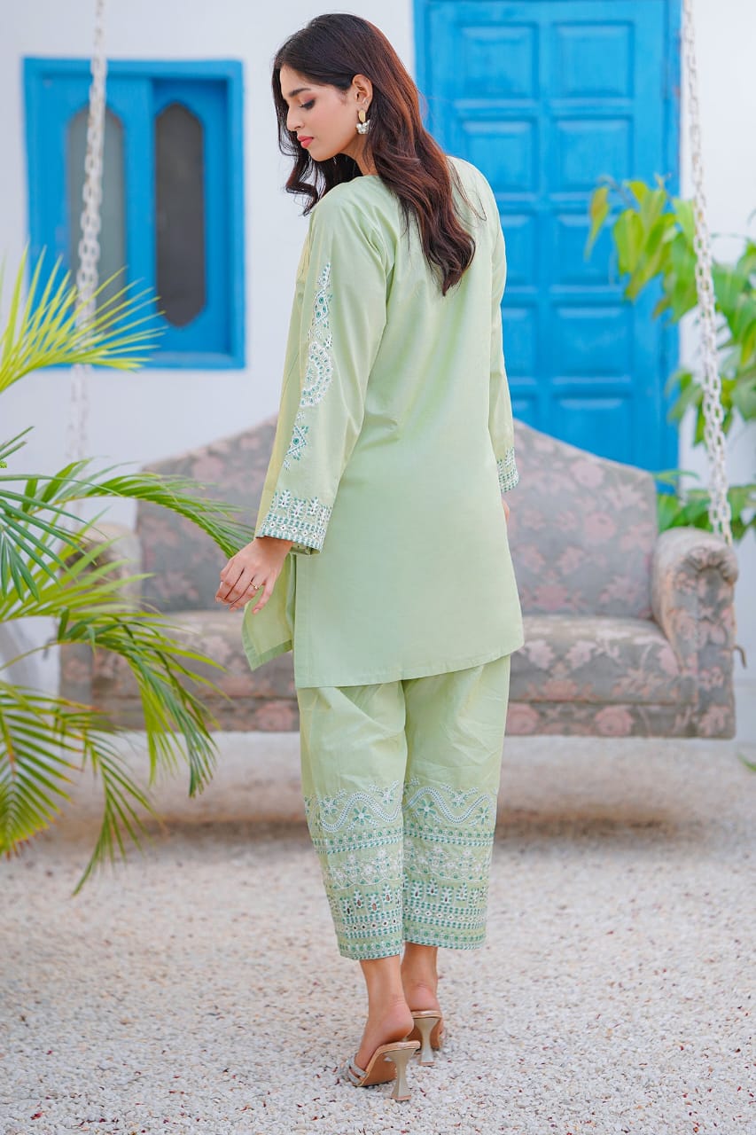 Ayesha Fabrics Present's RTW Daily Drop—Solid Cotton Shirt EMB with Cotton Trouser 2PC Collection 2025 D-101