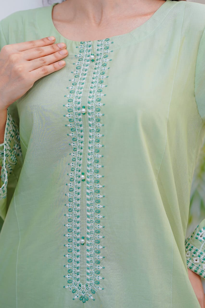 Ayesha Fabrics Present's RTW Daily Drop—Solid Cotton Shirt EMB with Cotton Trouser 2PC Collection 2025 D-101