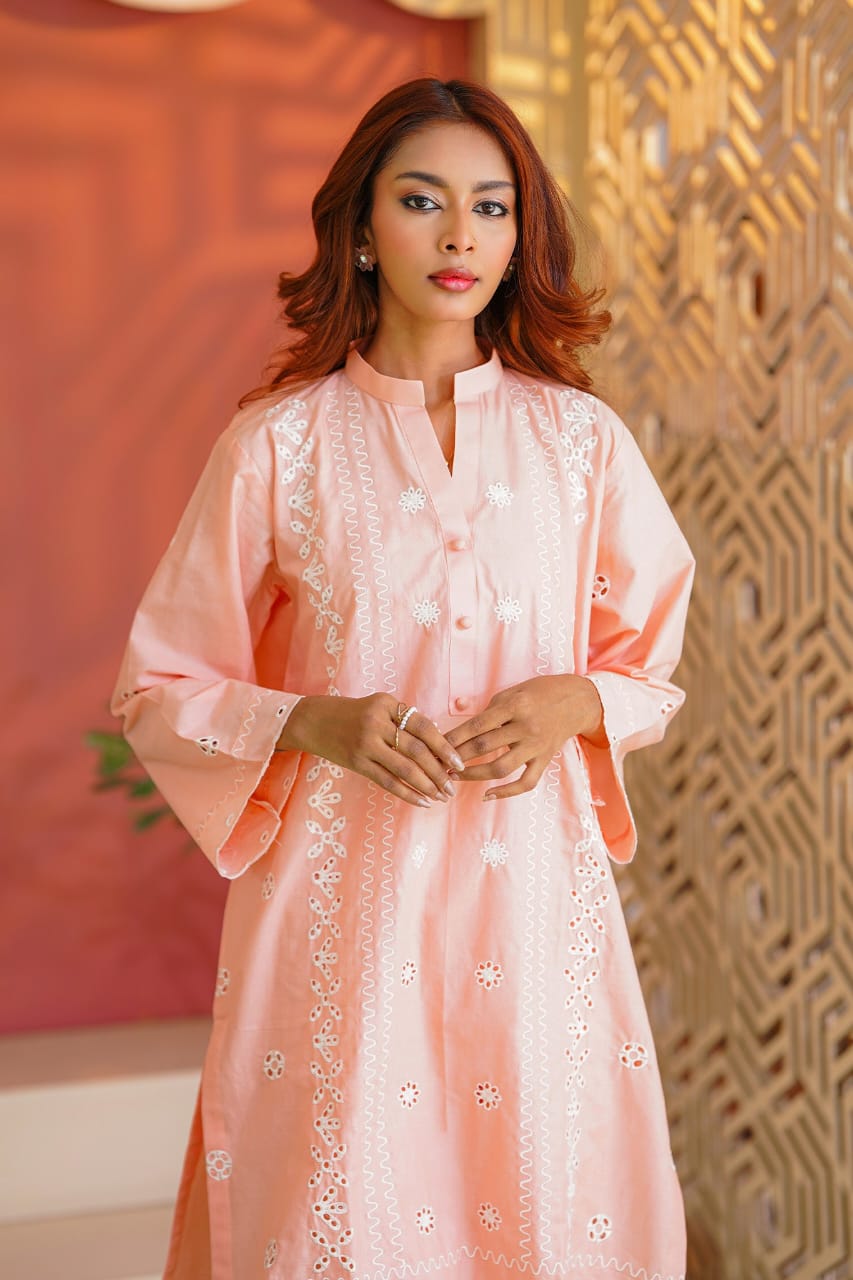 Ayesha Fabrics Present's RTW Daily Drop—Solid Cotton Shirt EMB with Cotton Trouser 2PC Collection 2025 D-102