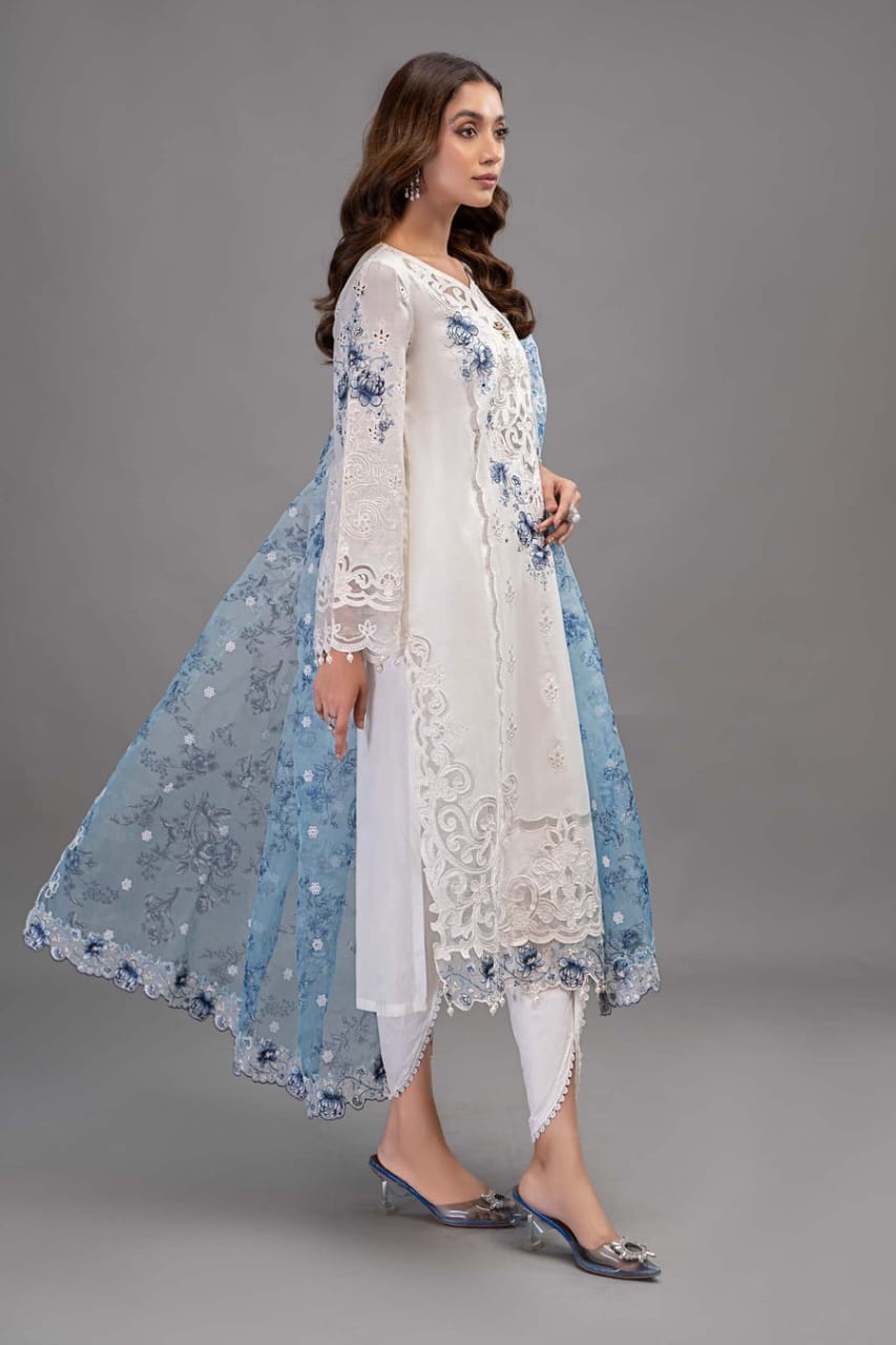 Maria B Luxury 3Piece Rtw Lawn Collection Collection 2025 MBLE-3204