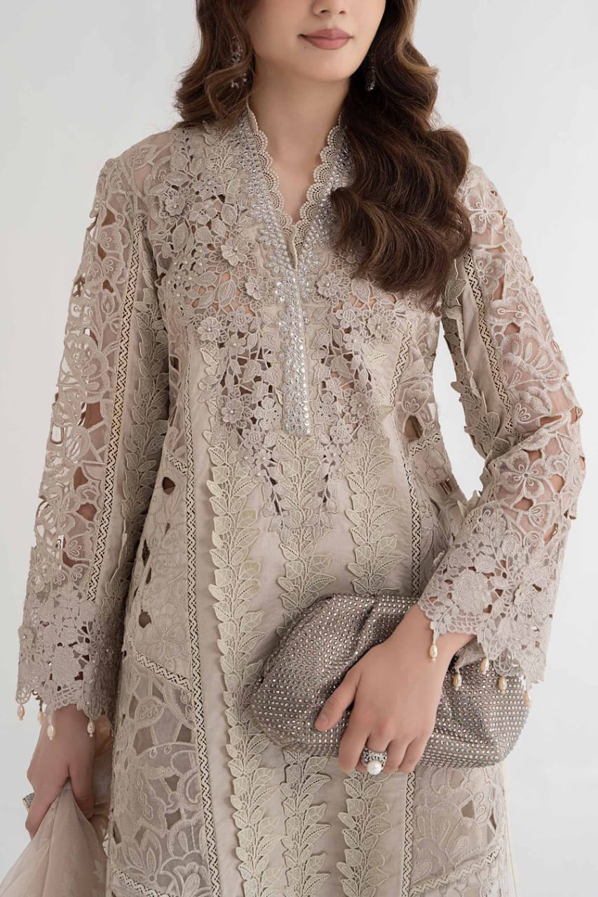 Maria B Luxury 3Piece Rtw Lawn Collection Collection 2025 MBLE-3211